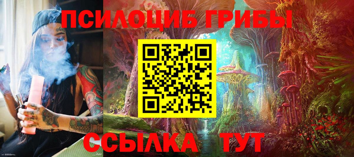 Псилоцибиновые грибы прущие грибы  Вход с VPN  Галлюциногенные грибы Psilocybine cubensis  Дятьково 