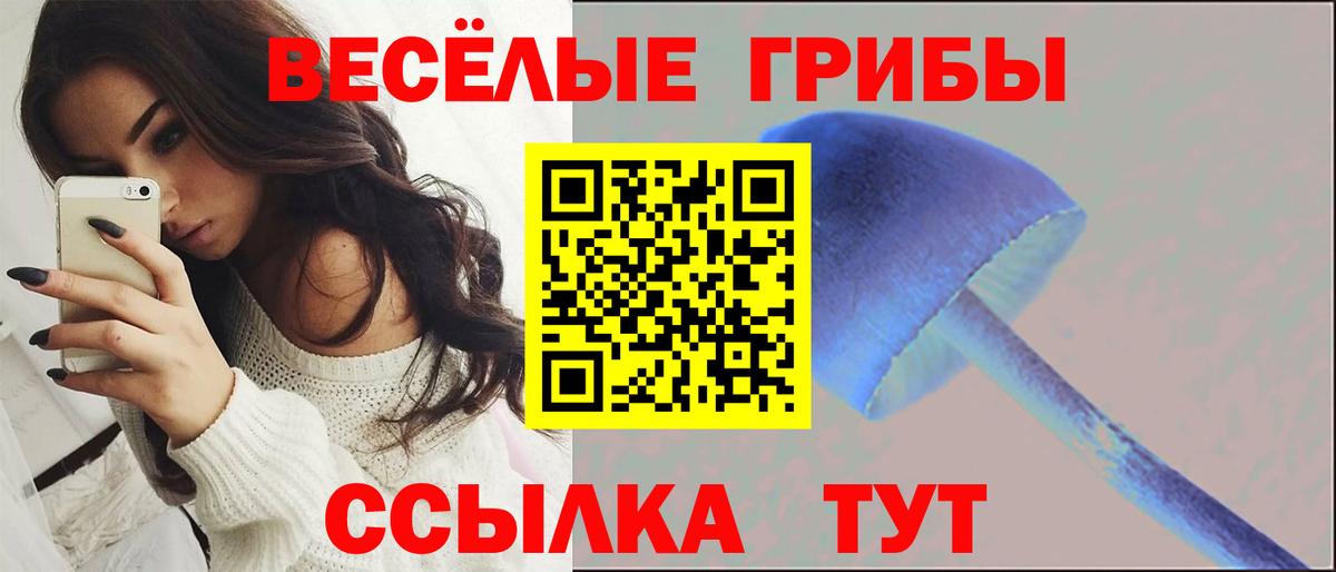 Псилоцибиновые грибы мицелий Дятьково