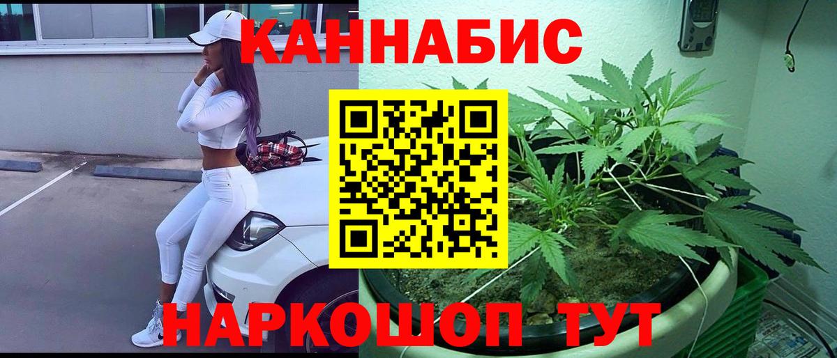 Шишки марихуана семена Дятьково